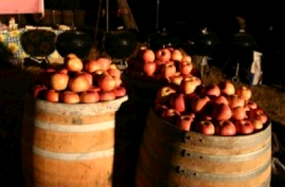  リンゴと一緒に熟していくウンソン農園 이미지
